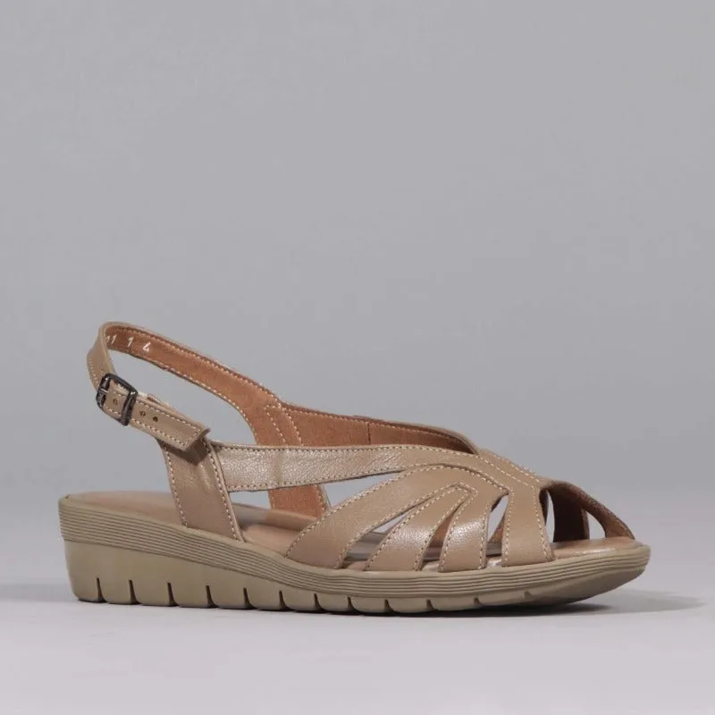 Slingback Sandal in Stone - 12537