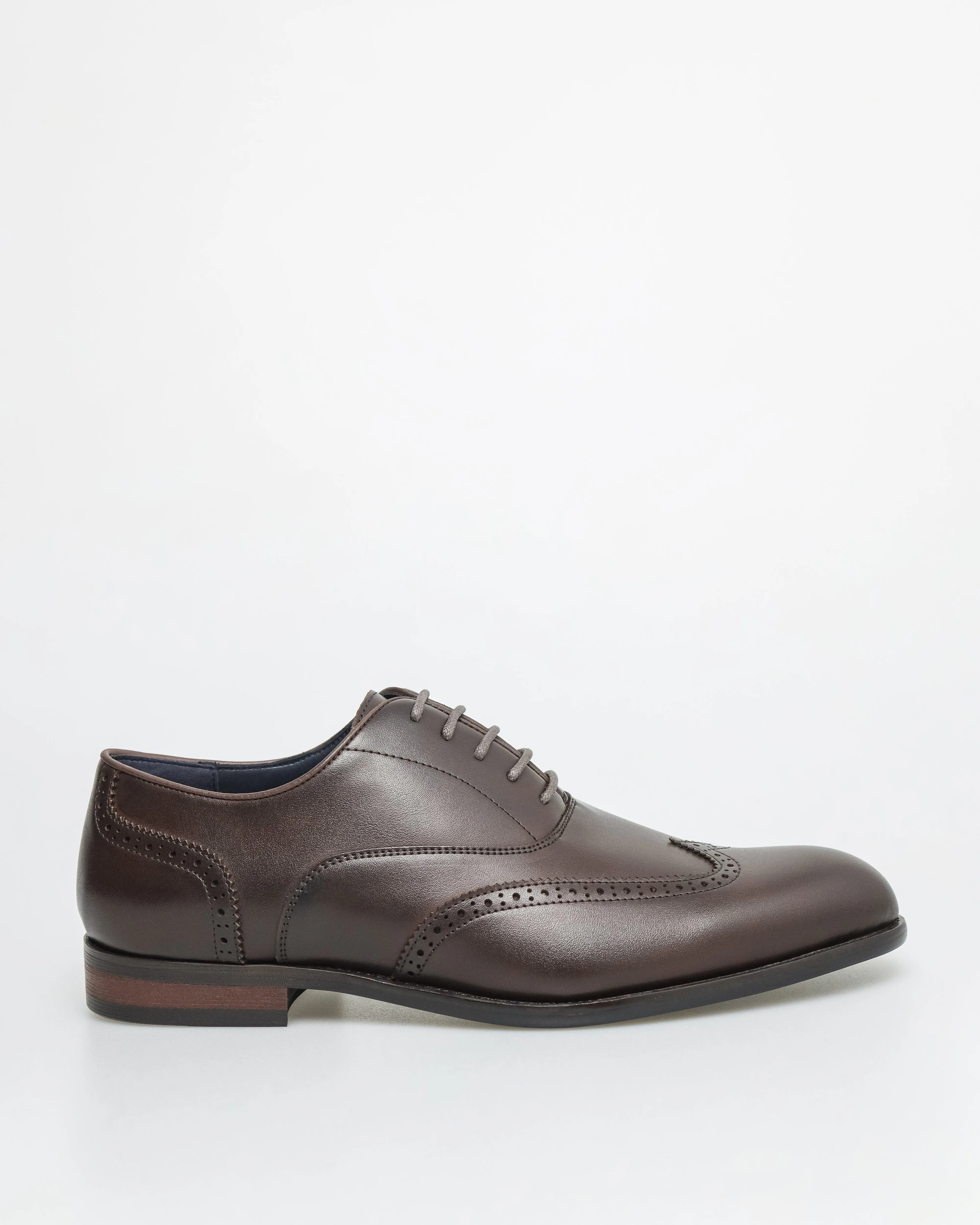 Tomaz F401 Men's Brogue Toe Oxford (Coffee)